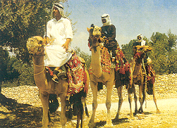 Beduinen in der Negev