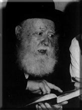 Rabbiner Abraham Shapira