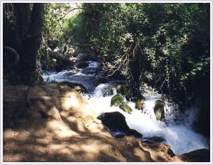Quelle im Naturschutzgebiet Banias
