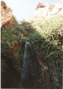 Wasserfall in Ein Gedi
